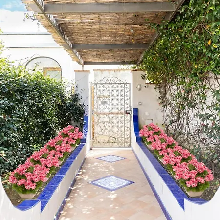 Maison Blue * カプリ